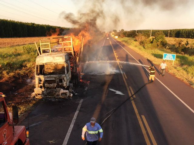 Carreta carregada com eucalipto é destruída pelas chamas na BR-262