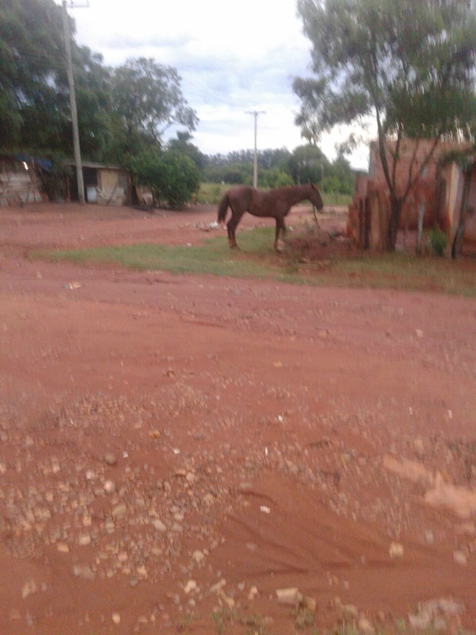 Whats Repórter denuncia abandono no bairro Vila Zuque 