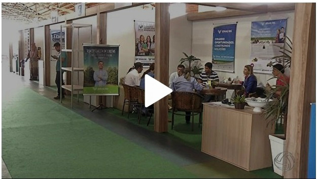 Evento Três Lagoas Florestal, MS, começa e proporciona conhecimento