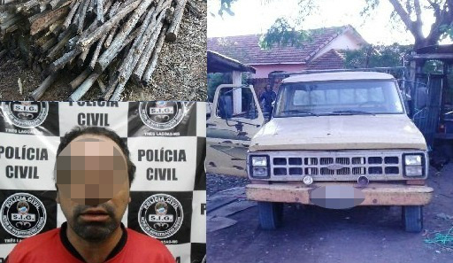 SIG esclarece furto de eucalipto que ocorreu na região da Fazenda Paranoá 