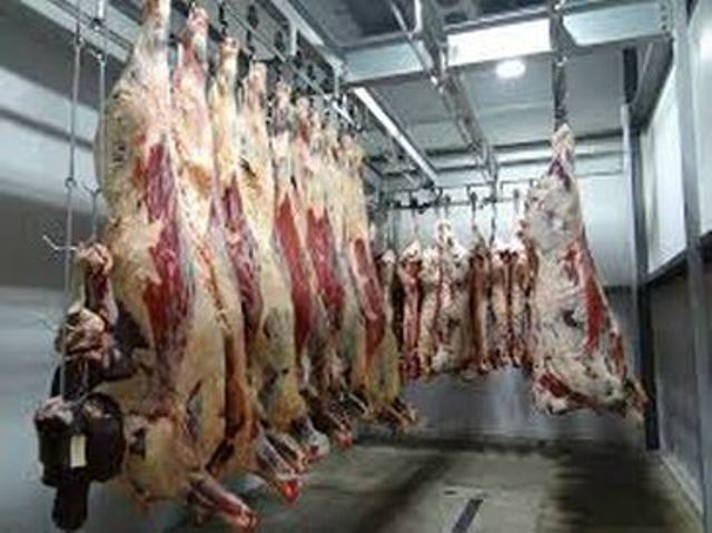 Frigoríficos são liberados após auditoria e voltam a exportar