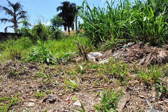 Donos de terrenos baldios começam a ser notificados em Três Lagoas