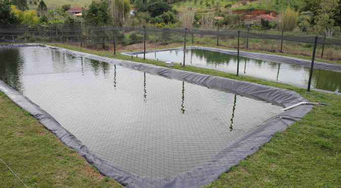 Imasul isenta de licença ambiental projetos de piscicultura de até cinco hectares Imasul isenta de licença ambiental projetos de piscicultura de até cinco hectares
