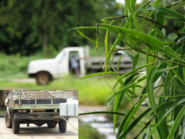Leitor flagra motorista de camionete jogando lixo na 2º lagoa e o caso vai parar no MPE 