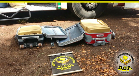 DOF prende casal com mais de 60 kg de maconha na BR 163