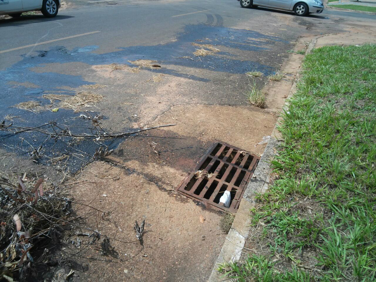 Prefeitura multa empresa de Três Lagoas em R$ 50 mil por crime ambiental Prefeitura multa empresa de Três Lagoas em R$ 50 mil por crime ambiental
