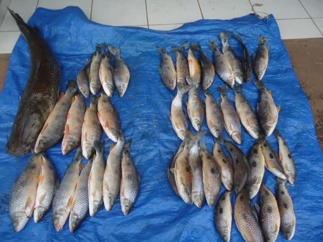 Paulistas são autuados em R$ 9,6 mil após serem flagrados com pescado ilegal