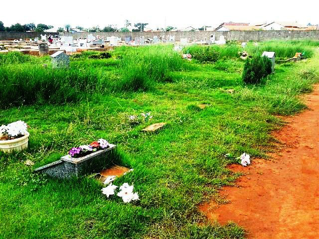 Abandono no cemitério municipal é registrado por leitor do TL Noticias 