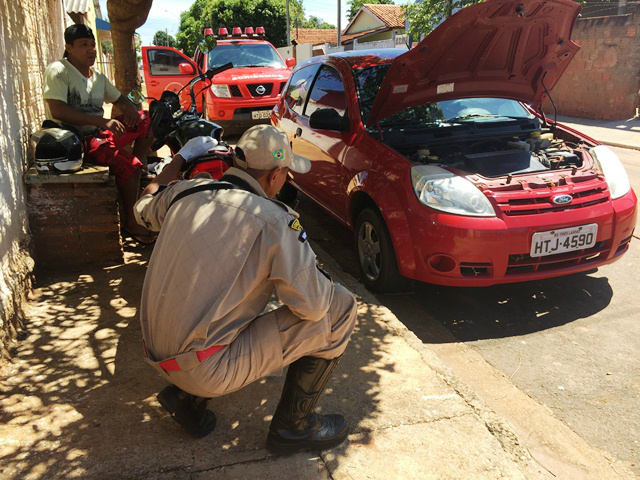 Cobra é capturada dentro de veículo no bairro São João 
