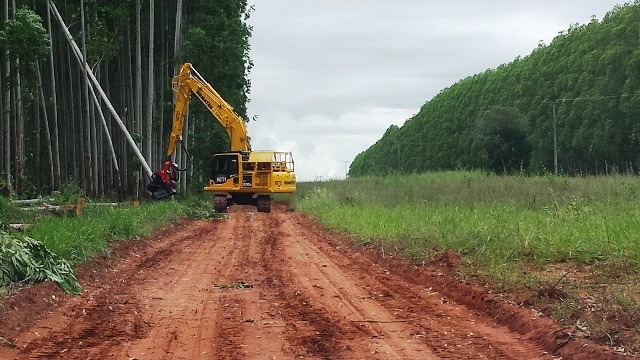 Máquinas de colheita florestal reduzem custos e aumentam a competitividade