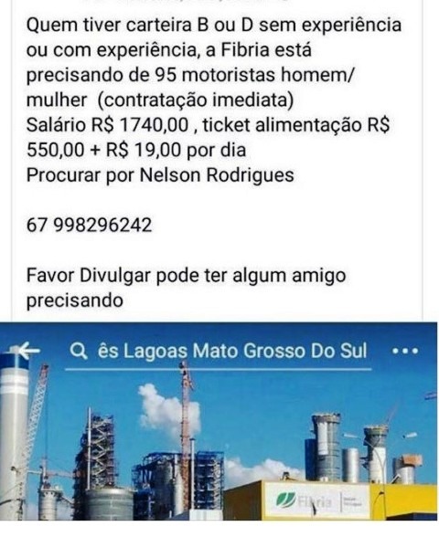 Fibria esclarece que falsas vagas de emprego estão sendo oferecidas nas redes sociais Fibria esclarece que falsas vagas de emprego estão sendo oferecidas nas redes sociais