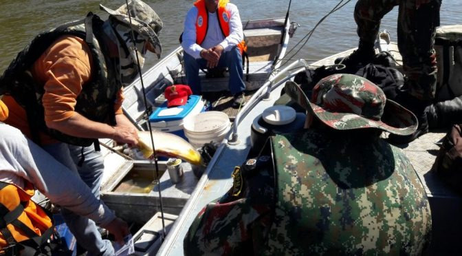 PMA autua 12, apreende armas e aplica 15 mil em multas