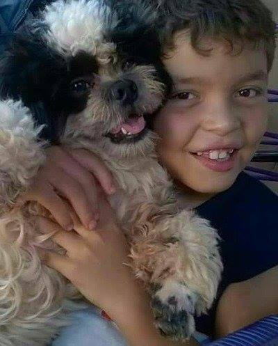 Criança sofre com o desaparecimento de seu cachorrinho de estimação há quatro dias