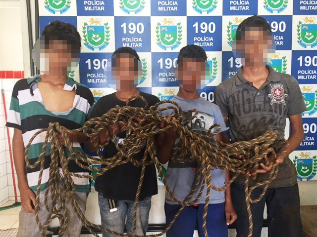 Alegando estarem perdidos, menores são apreendidos após suspeitas de furto e abate de gado 