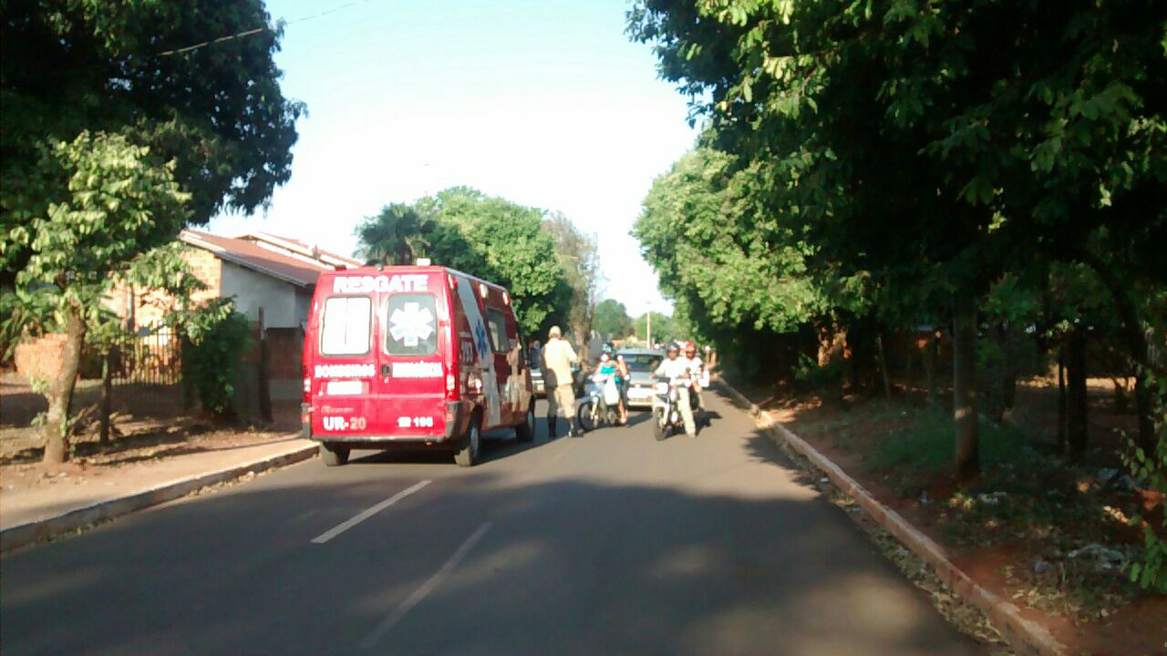 Moradores são atacados por abelhas na região do cemitério municipal