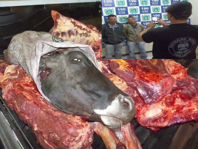 Funcionário de indústria da celulose é preso com amigo após abigeato 