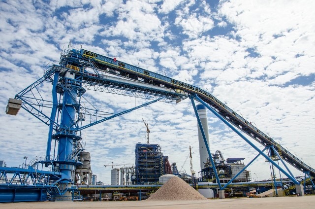 Fibria realiza primeiro processamento de madeira para 2º linha de produção de celulose
