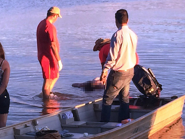 Jovem que caiu de jet ski é encontrado pelos bombeiros no rio Sucuriú Jovem que caiu de jet ski é encontrado pelos bombeiros no rio Sucuriú