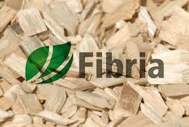 Fibria inicia atividades do programa Parceria Votorantim pela Educação 2017 