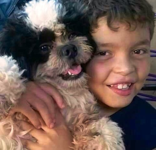 Depois de 25 dias longe de casa, “Nick” finalmente volta para família Depois de 25 dias longe de casa, “Nick” finalmente volta para família