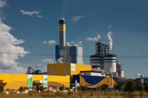 Fibria anuncia ampliação com investimentos de R$ 7,7 bi 