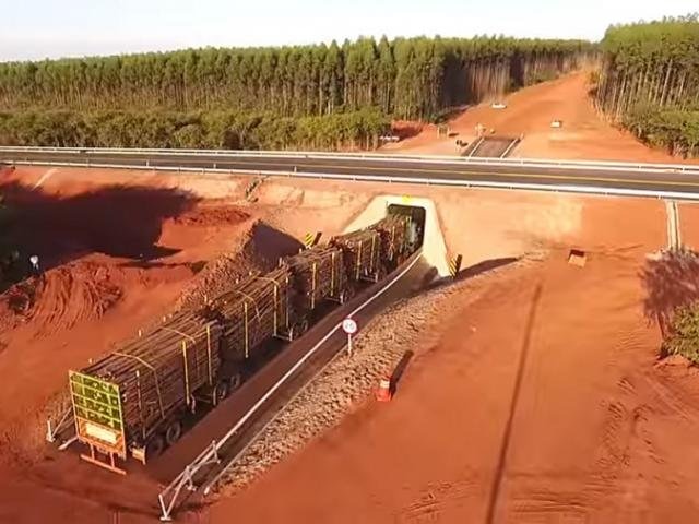 Com capacidade 50% maior, Fibria constrói caminhão que vale por cinco