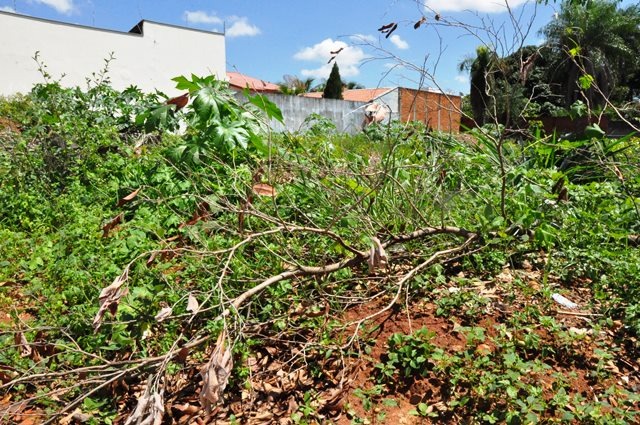 Terreno sujo terá multa dobrada em Três Lagoas ainda neste ano
