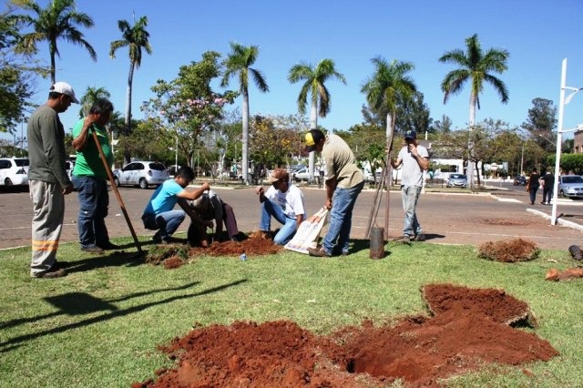 Praça Ramez Tebet recebe plantio de novas árvores por parte da SEMEA