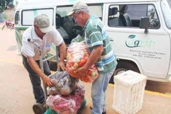Prefeitura compra mais de 83% dos produtos da alimentação escolar de agricultores familiares de Três Lagoas