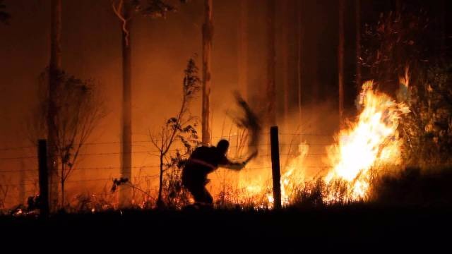 Idoso é flagrado colocando fogo em floresta de eucalipto da Eldorado