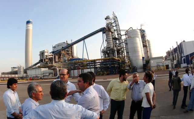 Com nova licença, Fibria se torna maior produtora de celulose do mundo