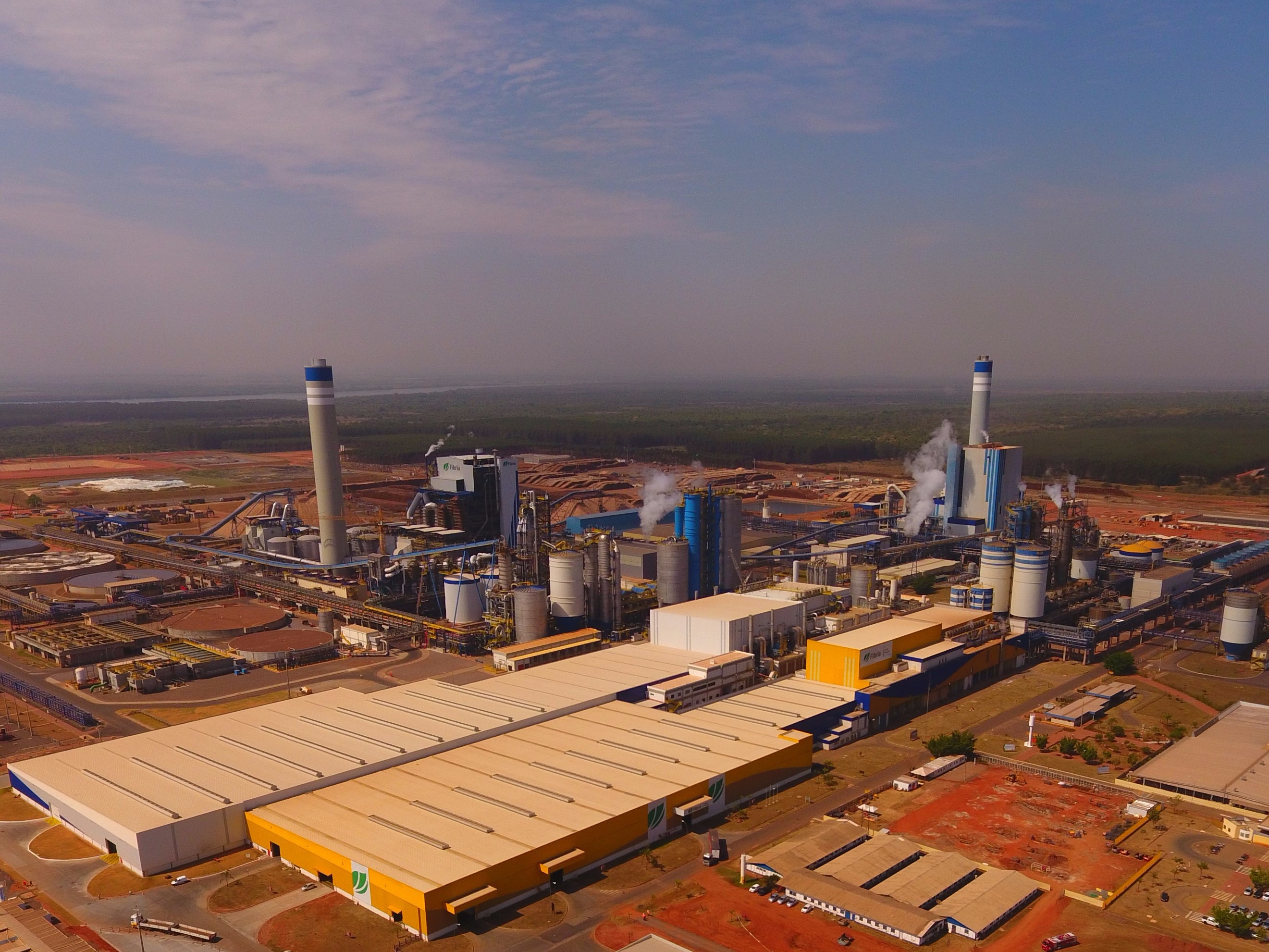 Fibria consolida liderança mundial no mercado de celulose com nova fábrica em Três Lagoas Fibria consolida liderança mundial no mercado de celulose com nova fábrica em Três Lagoas