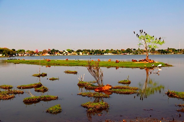 O que começou com fazendas, hoje é a Três Lagoas das inúmeras indústrias