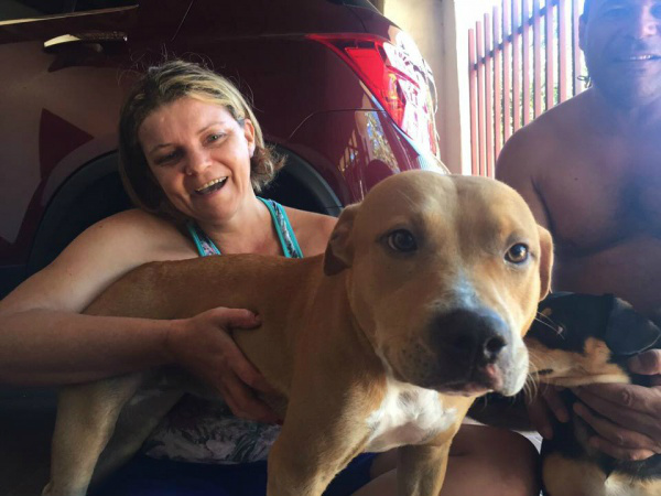 Mulher que matou Pit Bull dá sua versão e se defende de acusações 