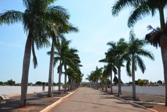 Prefeitura aguarda aproximadamente 30 mil visitas ao cemitério Santo Antônio