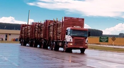 Fibria implanta conceito de 