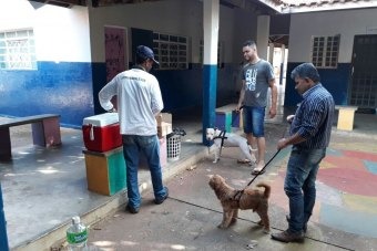 Vacinação antirrábica termina no sábado em oito locais da Cidade Vacinação antirrábica termina no sábado em oito locais da Cidade