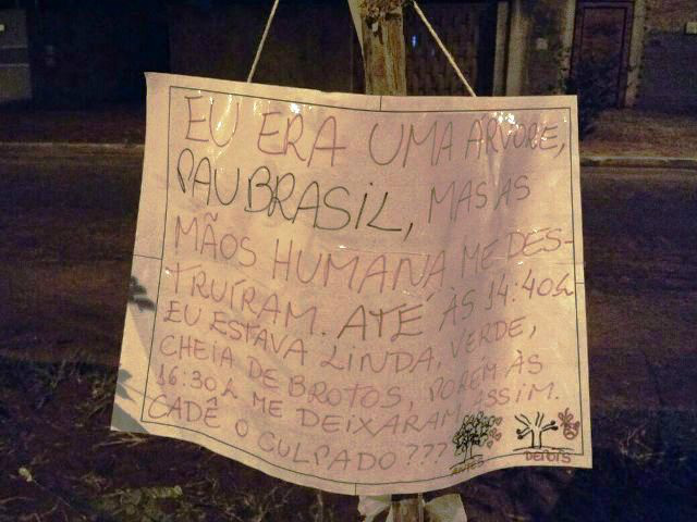 “Pau Brasil” vira caso de polícia; moradora coloca cartaz na árvore para tentar achar o culpado “Pau Brasil” vira caso de polícia; moradora coloca cartaz na árvore para tentar achar o culpado