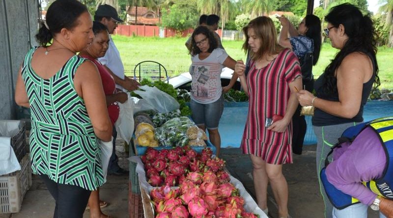 Com um mês de funcionamento, agricultores do “Mini Ceasa” comemoram aumento de vendas Com um mês de funcionamento, agricultores do “Mini Ceasa” comemoram aumento de vendas
