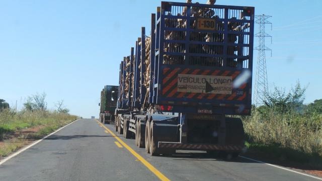 Setor de logística deve contratar 400 motoristas em Três Lagoas