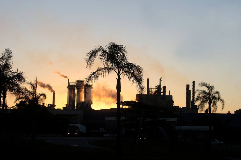 Suzano e Fibria voltam a discutir possível fusão para criar gigante global