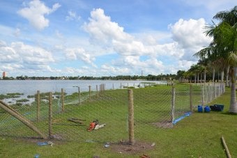 Prefeitura de Três Lagoas comemora plantio de árvores na Lagoa Maior por parte da Fibria