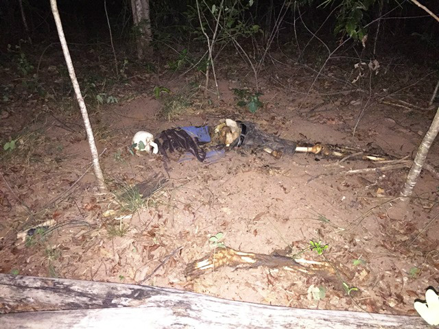 Ossada humana é encontrada na região da “Cascalheira” em Três Lagoas Ossada humana é encontrada na região da “Cascalheira” em Três Lagoas