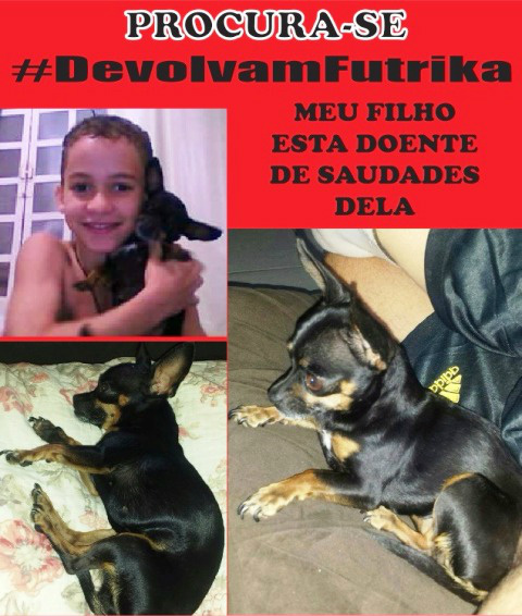 Dono de “Futrika” paga recompensa para quem der informações do seu paradeiro