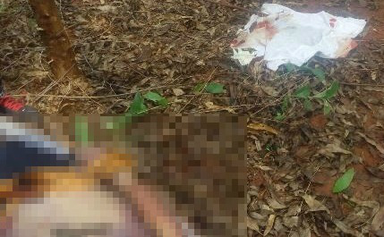Homem é encontrado morto em plantação de eucalipto às margens da BR-262 Homem é encontrado morto em plantação de eucalipto às margens da BR-262