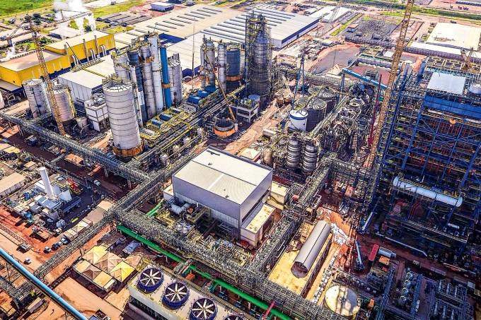 Compra da Fibria é vista dentro do Cade como “complexa”