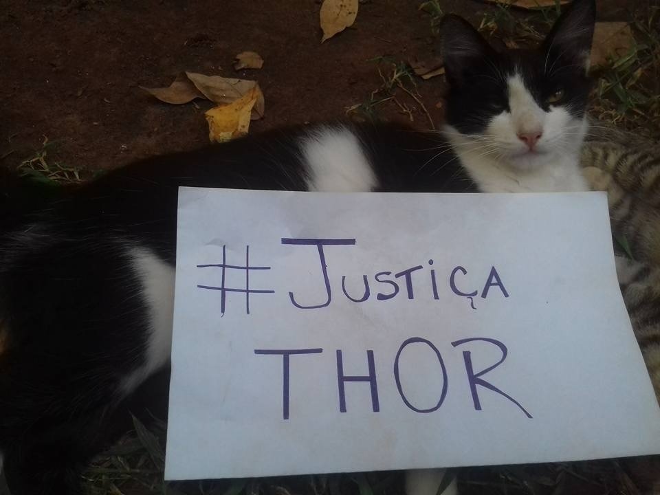 Após morte de 
