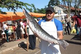 Amanhã é último dia para retirada de alvarás para participar da 5ª Feira do Peixe Amanhã é último dia para retirada de alvarás para participar da 5ª Feira do Peixe