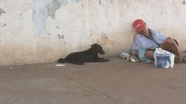 Cão cuida de morador de rua que perdeu a filha em acidente