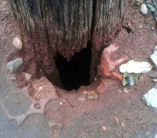 Poste de energia pode cair e causar tragédia no bairro São João 